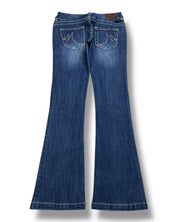 Y2K Flared Jeans (XS)