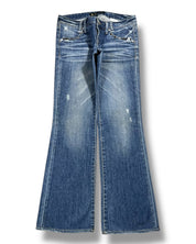 Y2K Flared Jeans (XS)